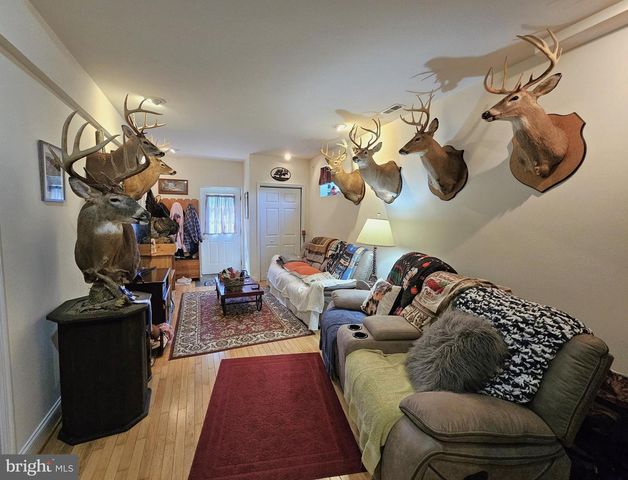 336 BLANKENBAKER RD, Madison, VA 22727