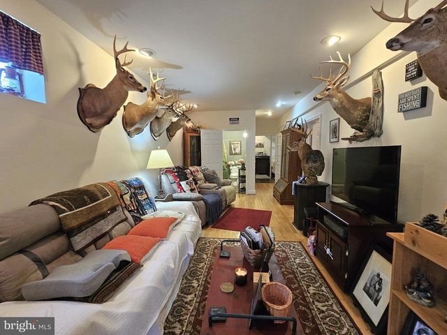 336 BLANKENBAKER RD, Madison, VA 22727