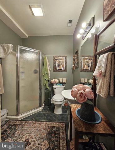 336 BLANKENBAKER RD, Madison, VA 22727