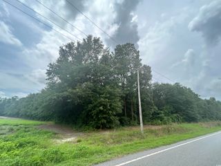 TBD Highway 308, Galivants Ferry, SC 29544