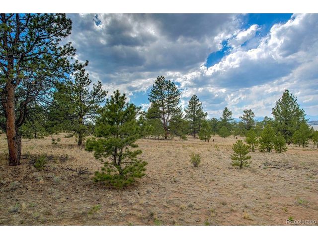 192 Maricopa Trl, Hartsel, CO 80449