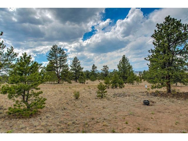 192 Maricopa Trl, Hartsel, CO 80449