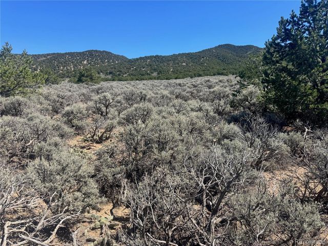 lot 1275 Juarez Road, Fort Garland, CO 81133
