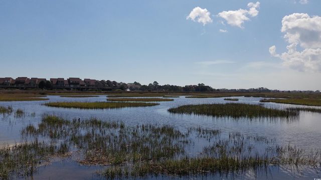 1259 Oatland Lake Rd., Pawleys Island, SC 29585