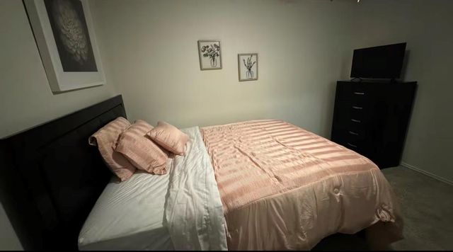 3927 Braden Drive N, Houston, TX 77047