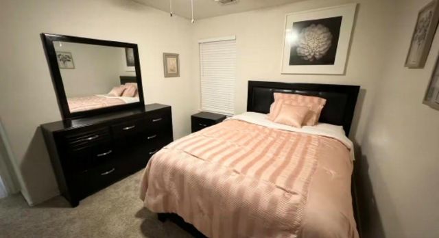 3927 Braden Drive N, Houston, TX 77047