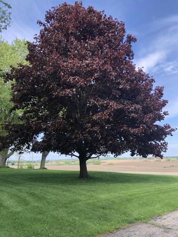 2315 Spring Rose Road, Verona, WI 53593