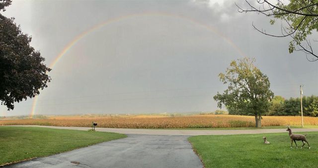 2315 Spring Rose Road, Verona, WI 53593