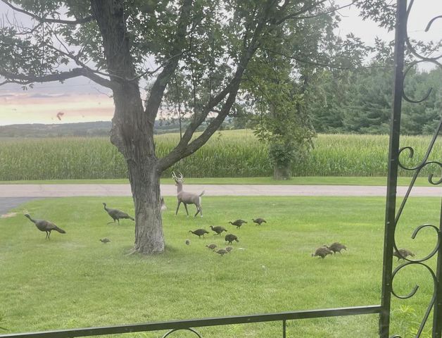 2315 Spring Rose Road, Verona, WI 53593