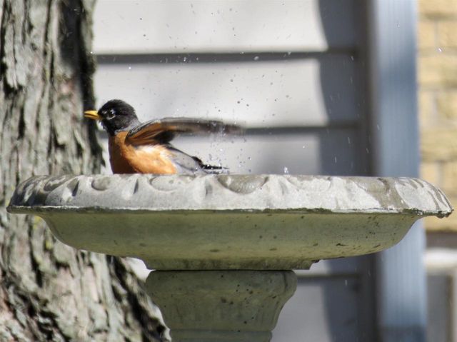 2315 Spring Rose Road, Verona, WI 53593