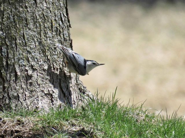 2315 Spring Rose Road, Verona, WI 53593