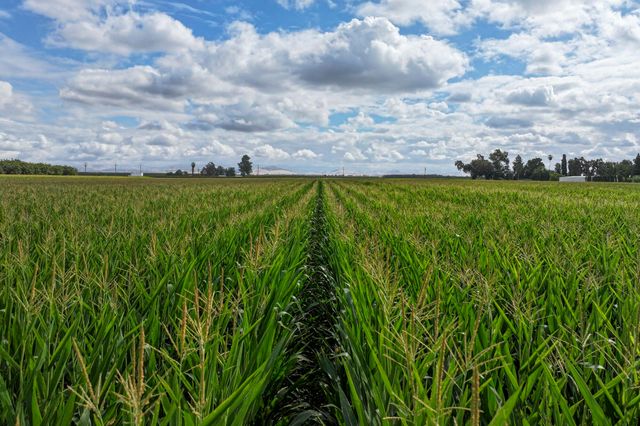 0 Rd. 140, Visalia, CA 93292