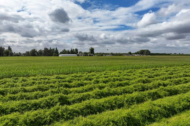 0 Rd. 140, Visalia, CA 93292