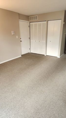 324 Mulberry Court C2, Bartlett, IL 60103
