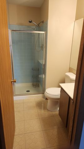 324 Mulberry Court C2, Bartlett, IL 60103