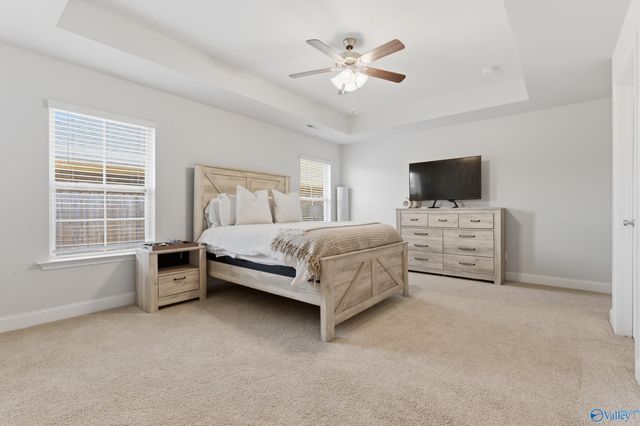 245 Abercorn Drive, Madison, AL 35756