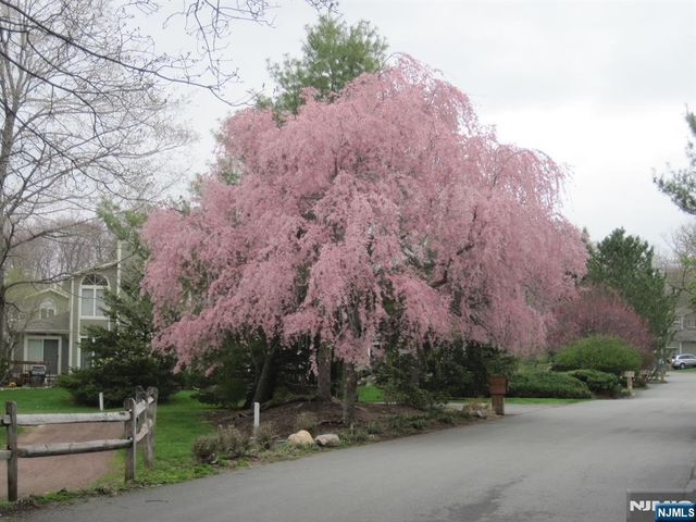 25 Stone Row Lane, Jefferson Township, NJ 07438