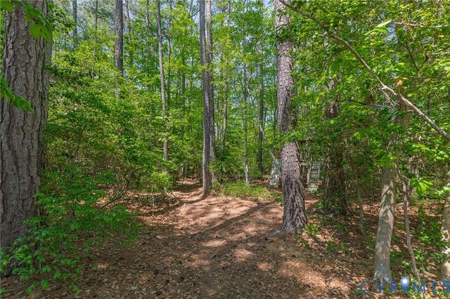 10146 Cameron Ridge Dr, Ashland, VA 23005