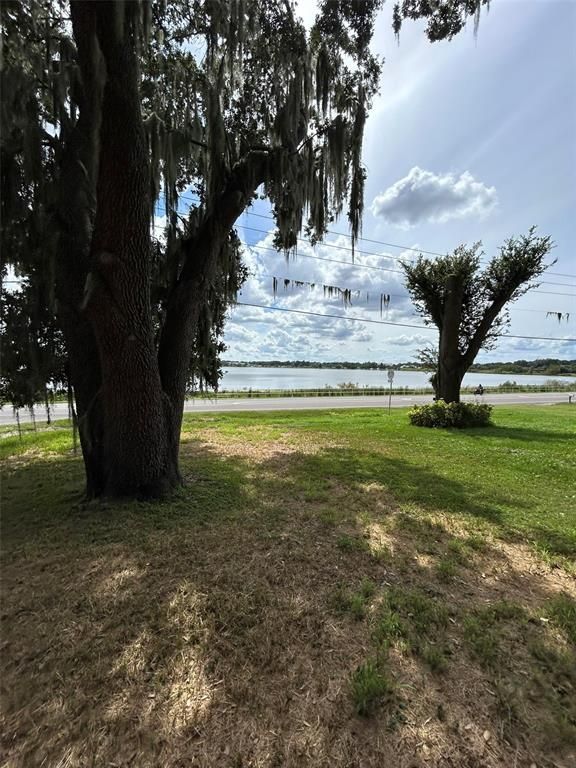 Image 10 of property listing at 508 E SILVER STAR ROAD, Ocoee, FL 34761