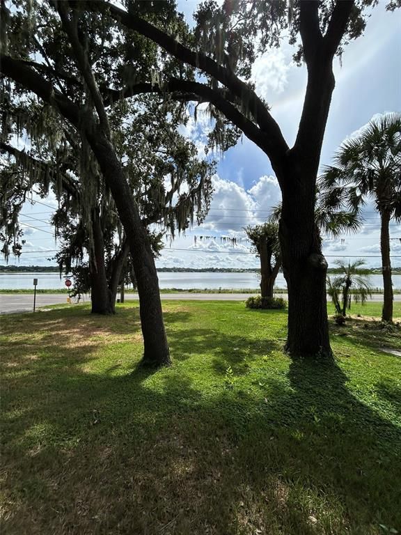 Image 2 of property listing at 508 E SILVER STAR ROAD, Ocoee, FL 34761