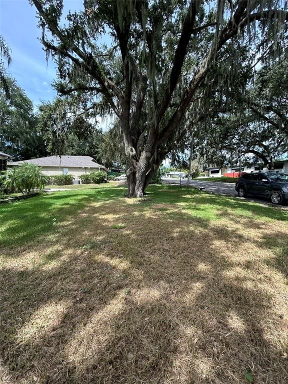 Image 7 of property listing at 508 E SILVER STAR ROAD, Ocoee, FL 34761