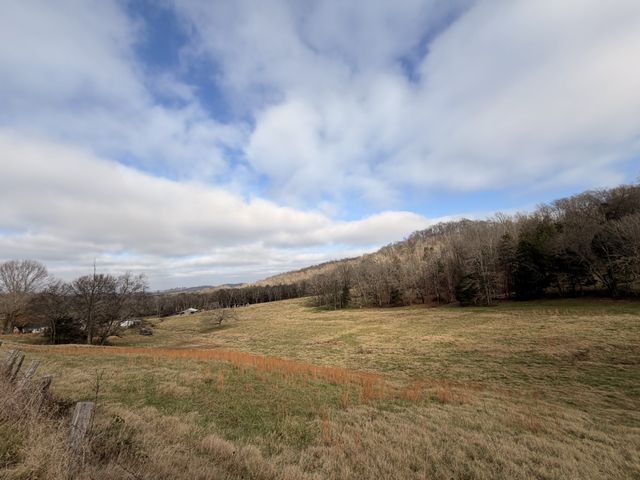 7 Crooked Hill Rd, N, Pulaski, TN 38478