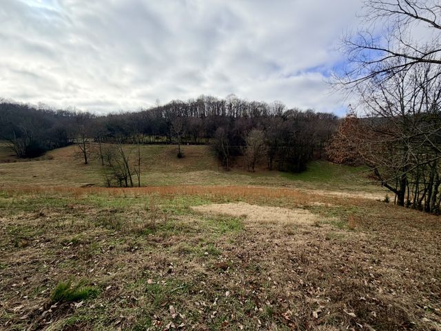 7 Crooked Hill Rd, N, Pulaski, TN 38478