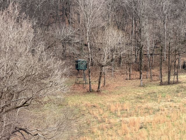 7 Crooked Hill Rd, N, Pulaski, TN 38478