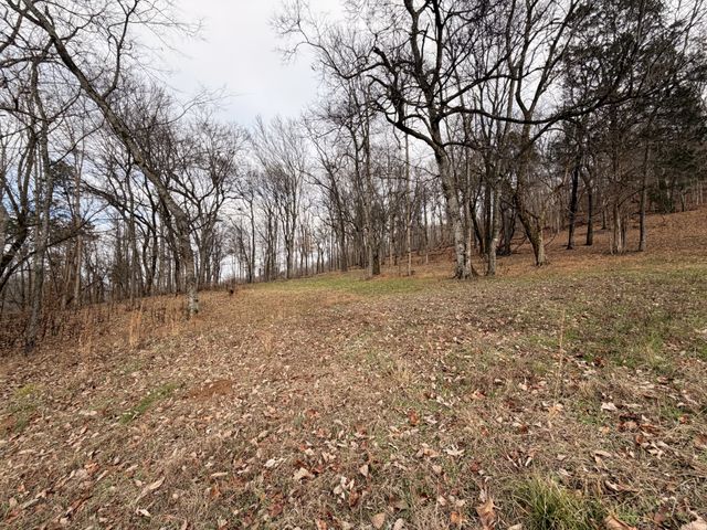 7 Crooked Hill Rd, N, Pulaski, TN 38478