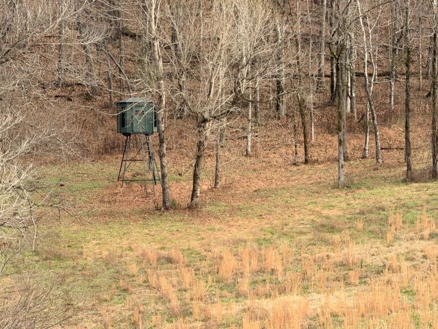 7 Crooked Hill Rd, N, Pulaski, TN 38478