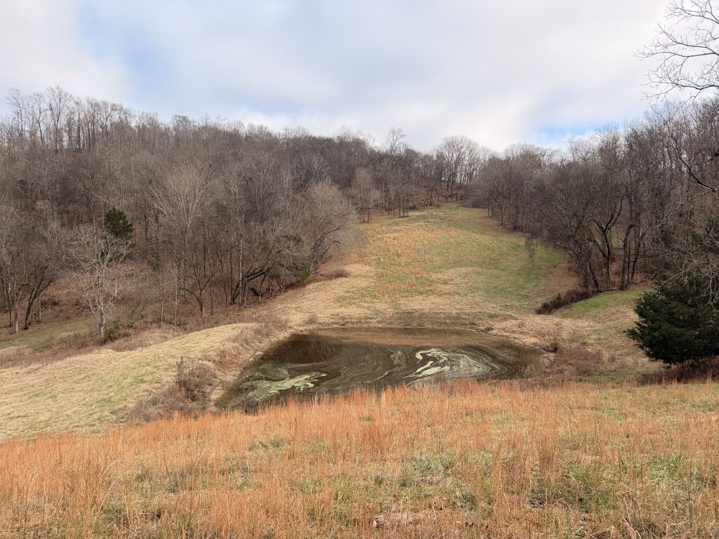 7 Crooked Hill Rd, N, Pulaski, TN 38478