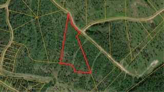 0 Eagle Falls Blvd, Trinity, TX 75862