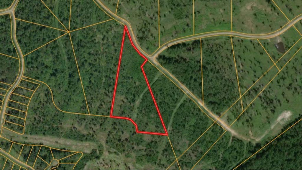 0 Eagle Falls Blvd, Trinity, TX 75862