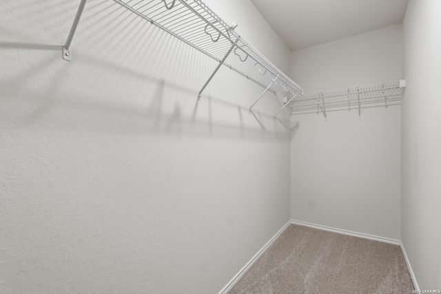 11703 Grey Fox, San Antonio, TX 78254