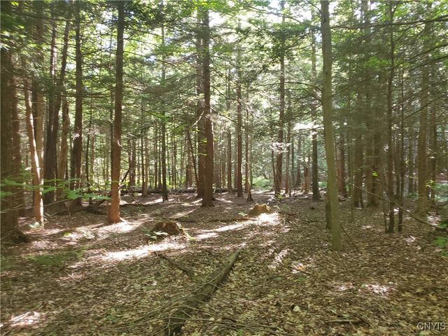 364 Towsley Road, Albion, NY 13142