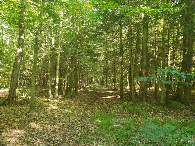 364 Towsley Road, Albion, NY 13142