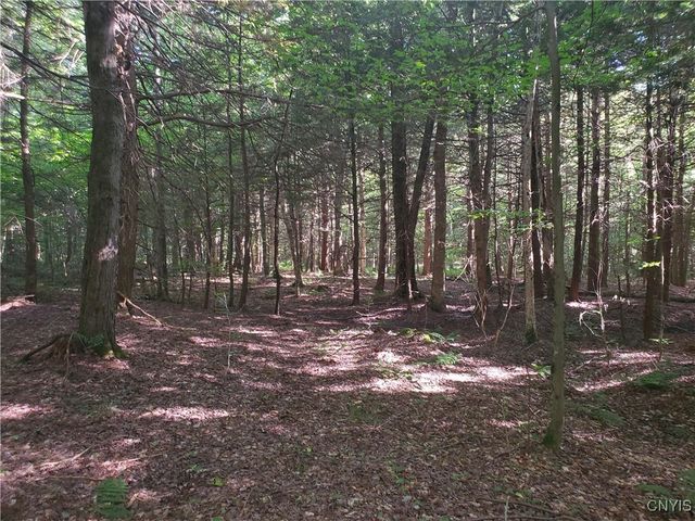 364 Towsley Road, Albion, NY 13142