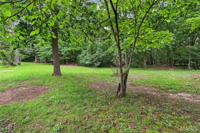 1485 Rue Riviera, Bonne Terre, MO 63628