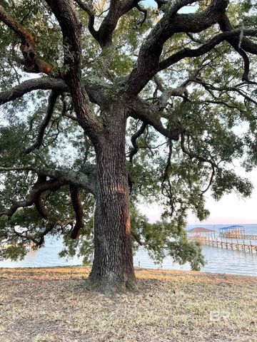 9182 Bay View Drive, Lillian, AL 36549