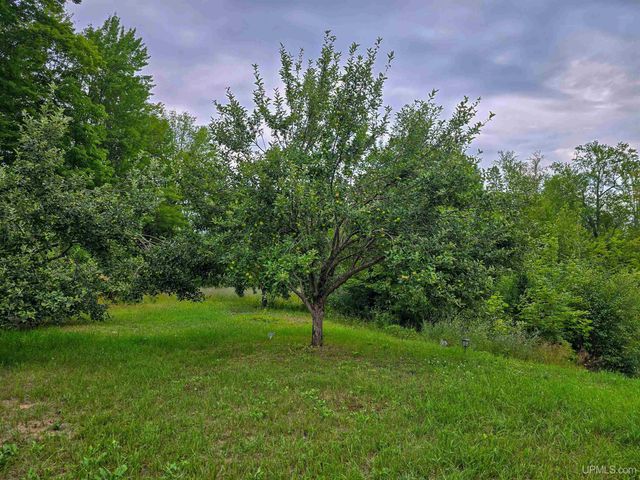 15120 36th Road, Nahma, MI 49864