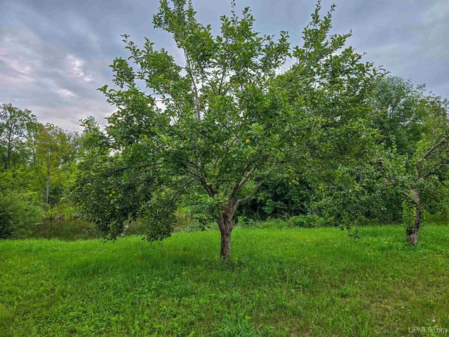 15120 36th Road, Nahma, MI 49864