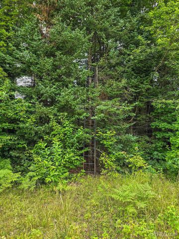 15120 36th Road, Nahma, MI 49864