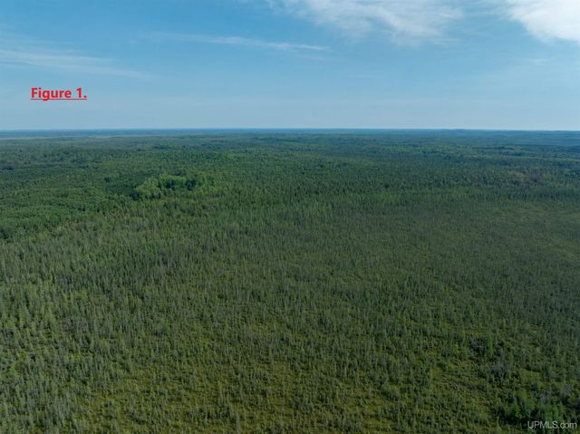 15120 36th Road, Nahma, MI 49864