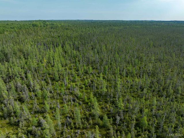 15120 36th Road, Nahma, MI 49864