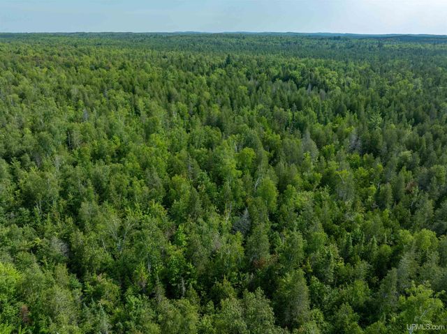 15120 36th Road, Nahma, MI 49864