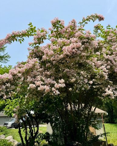 67 Lowell St, Lexington, MA 02420