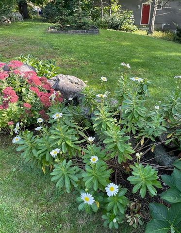 67 Lowell St, Lexington, MA 02420