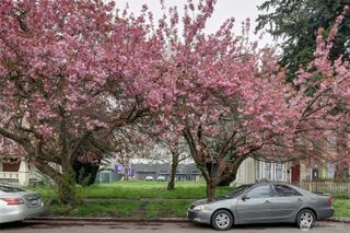 811 S L Street, Tacoma, WA 98405