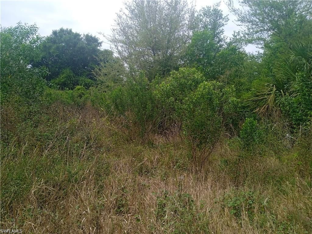3512 26th ST SW, LEHIGH ACRES, FL 33976 — photo 3