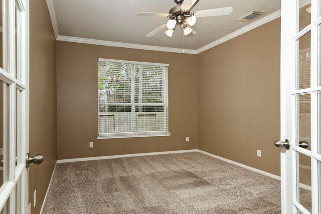 14 Mercutio Court, The Woodlands, TX 77382